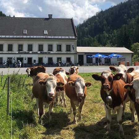 فندق Gasthof Zum Maurer ماريازيل المظهر الخارجي الصورة